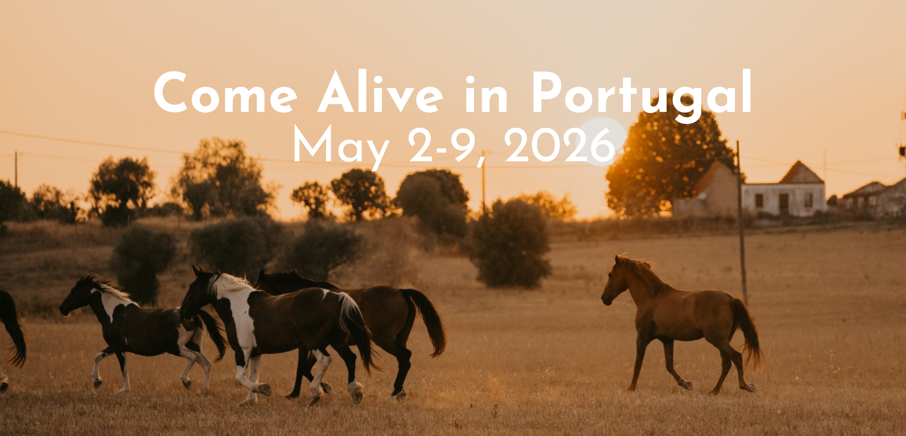 banners_for_newletters